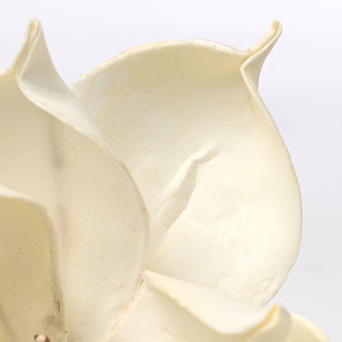 10" x 24" Soft Touch Magnolia Stem: Cream Lifestyle Photo