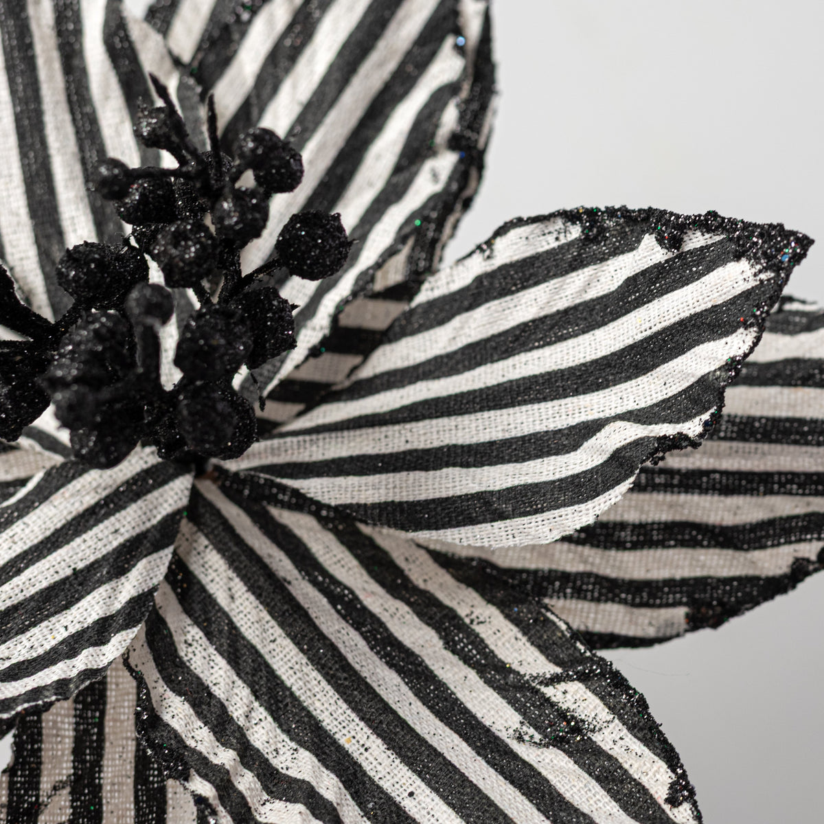 11" x 19" Striped Poinsettia Stem: Black & White detail photo 4