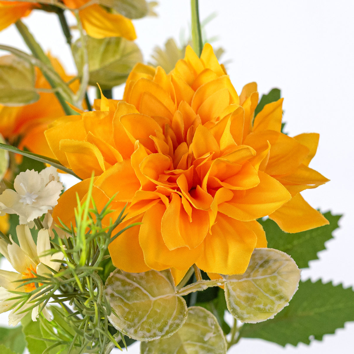 15" Mixed Dahlia Bush: Golden Yellow Lifestyle Photo