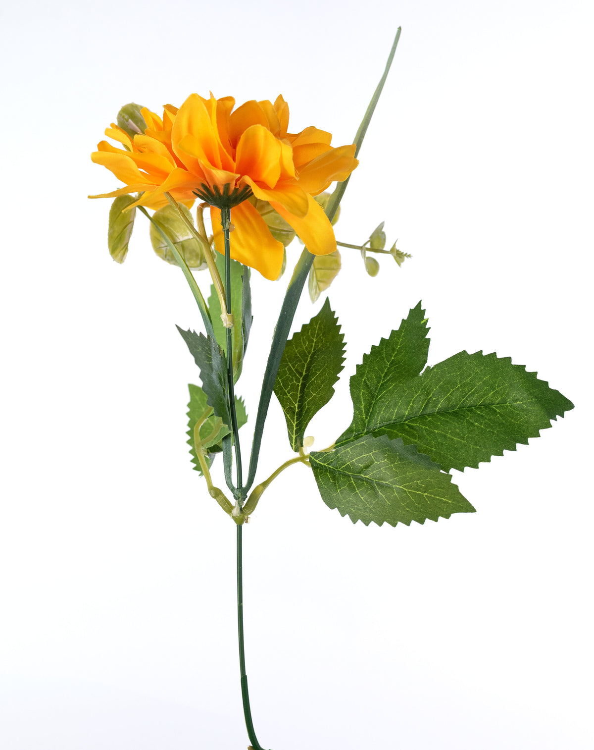 15" Mixed Dahlia Bush: Golden Yellow detail photo 5