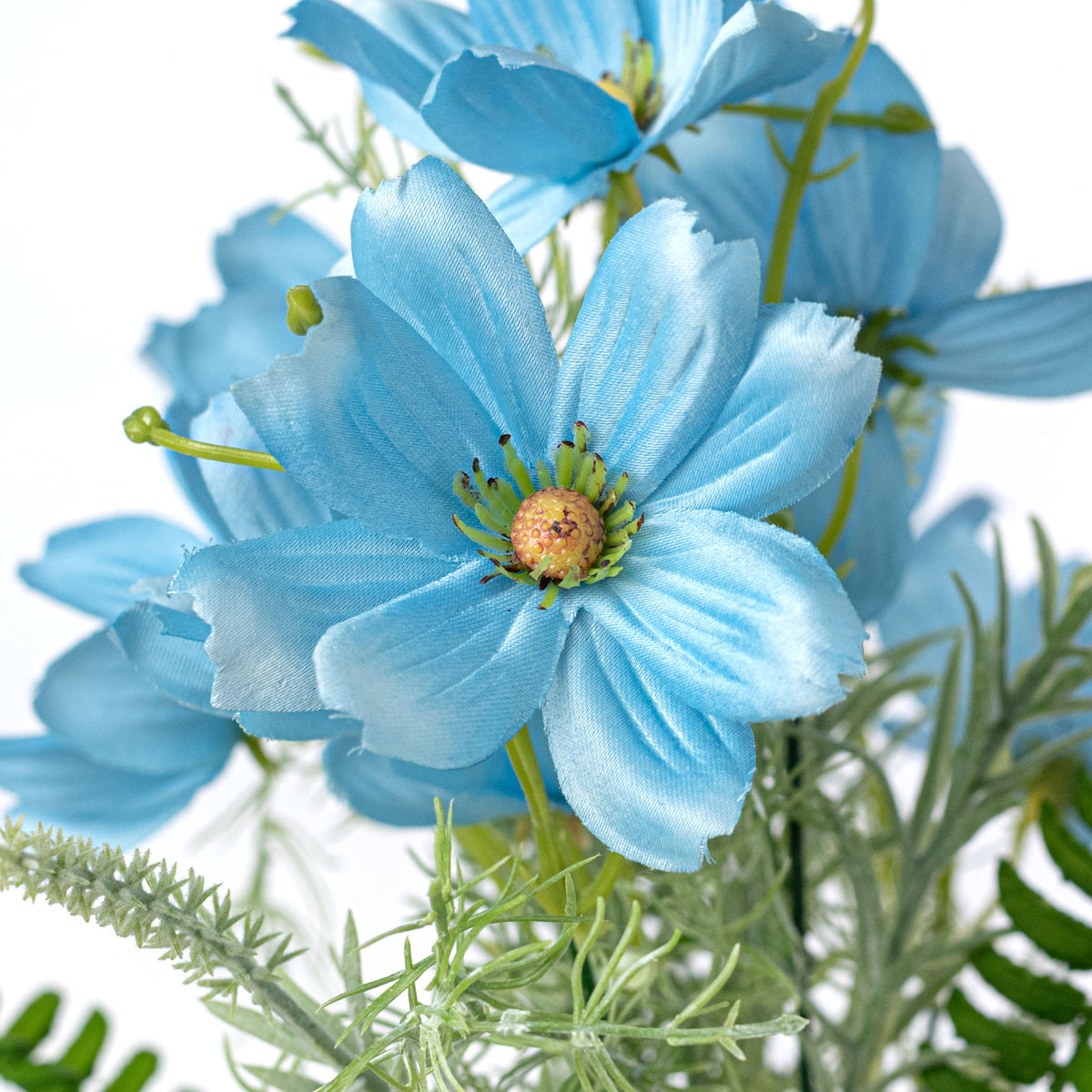 16" Cosmos Bush: Blue (5 Stem) Lifestyle Photo
