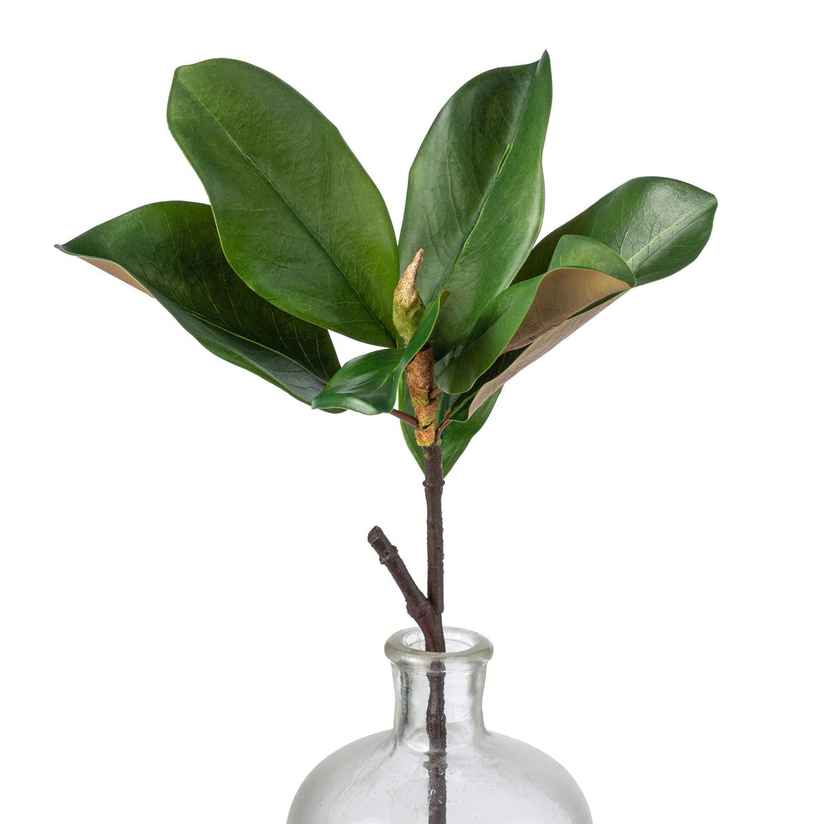 18" Artificial Magnolia Leaf Spray: Green Item Number: 2310460GR