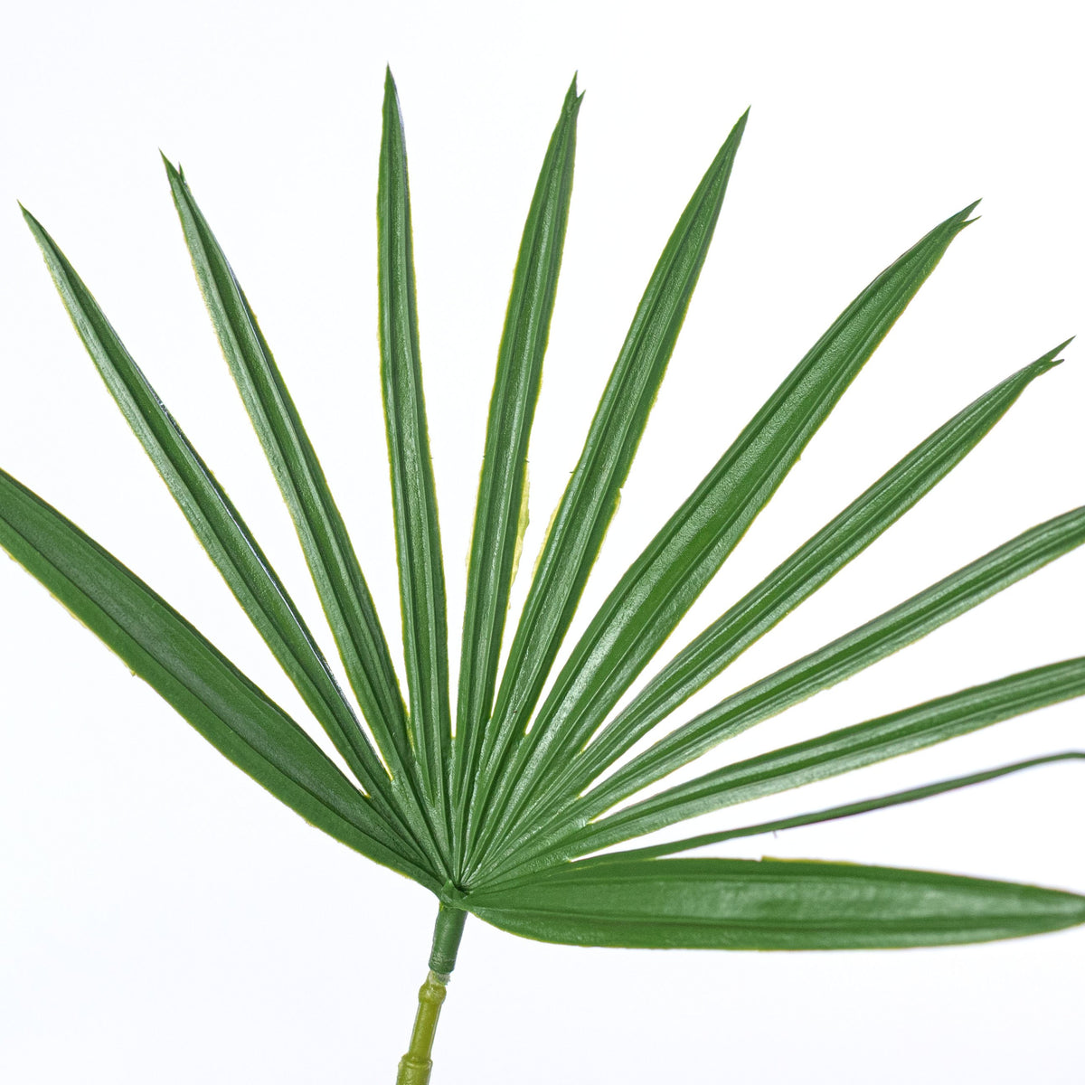 18" Plastic Fan Palm Bush (18 Stem) detail photo 5