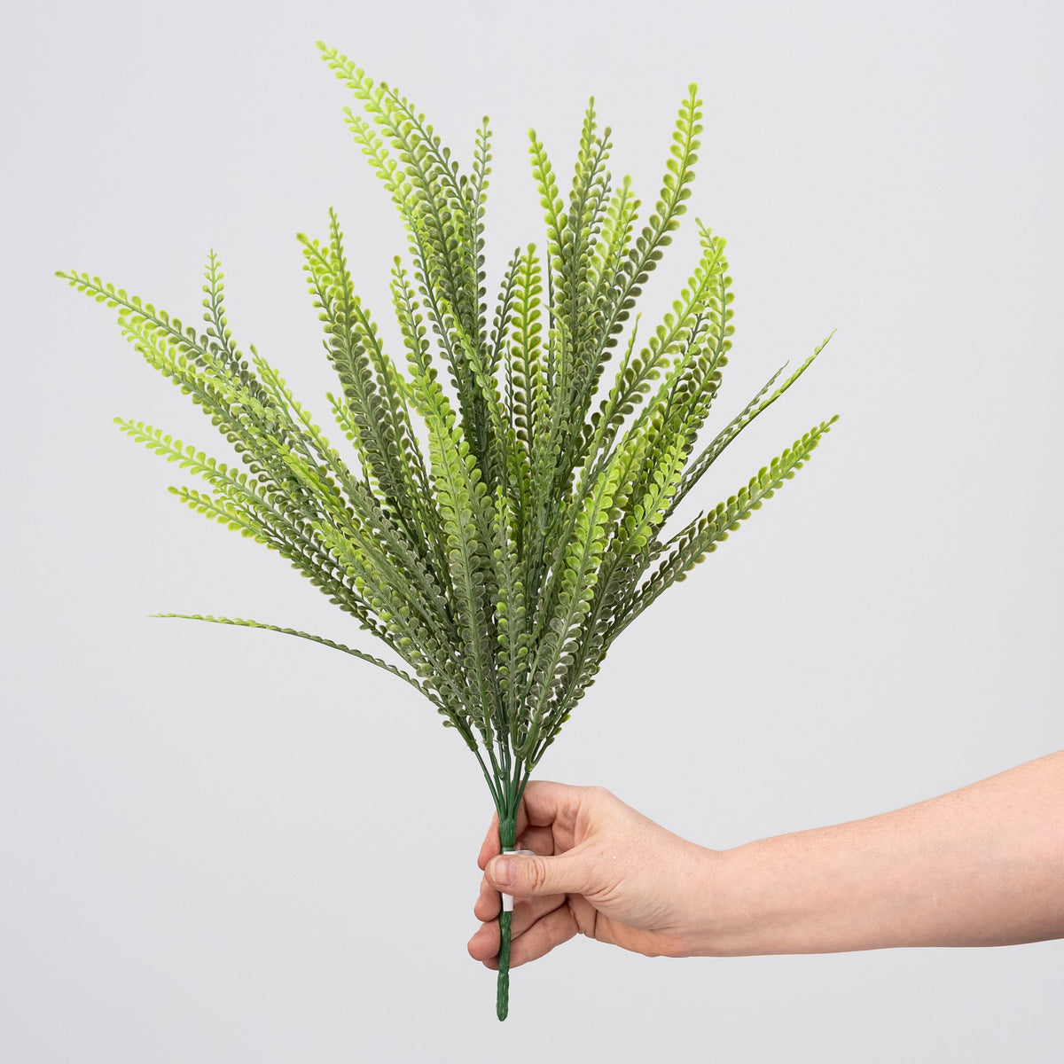 19" Button Fern Leaf Bush: Variegated Green detail photo 3