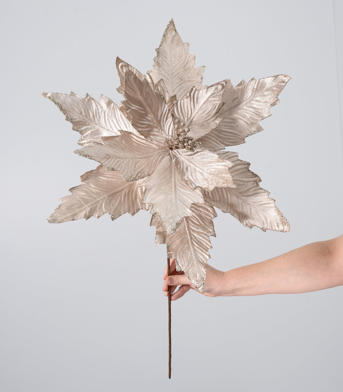 20" x 21" Jumbo Velvet Poinsettia Stem: Champagne Gold detail photo 3