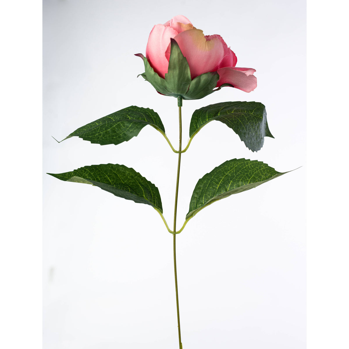 20" Peony & Hydrangea Bush: Pink & Blue (12 Stem) detail photo 6