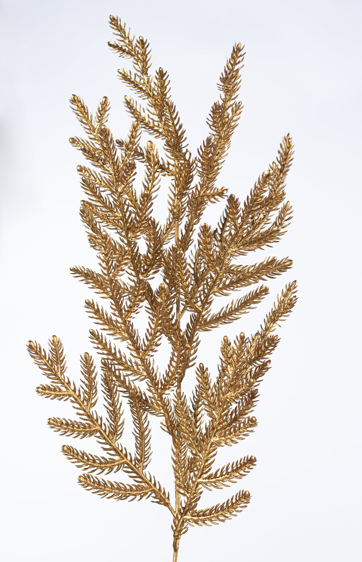 21" Glittered Metallic Pine Bush: Gold (4 Stem) detail photo 4