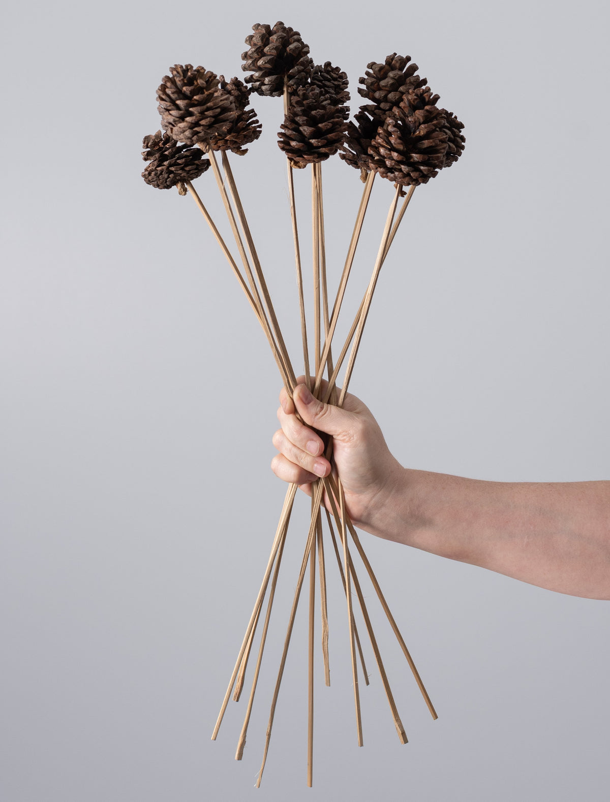 21" Medium Pinecones on Bamboo Picks (Pack of 10) detail photo 3