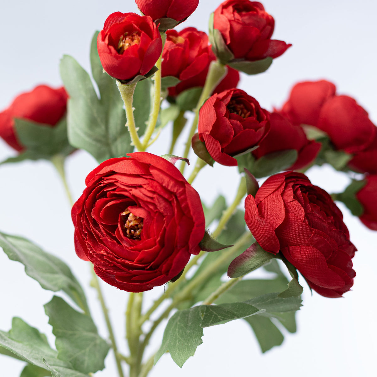 21" Ranunculus Spray: Red Lifestyle Photo
