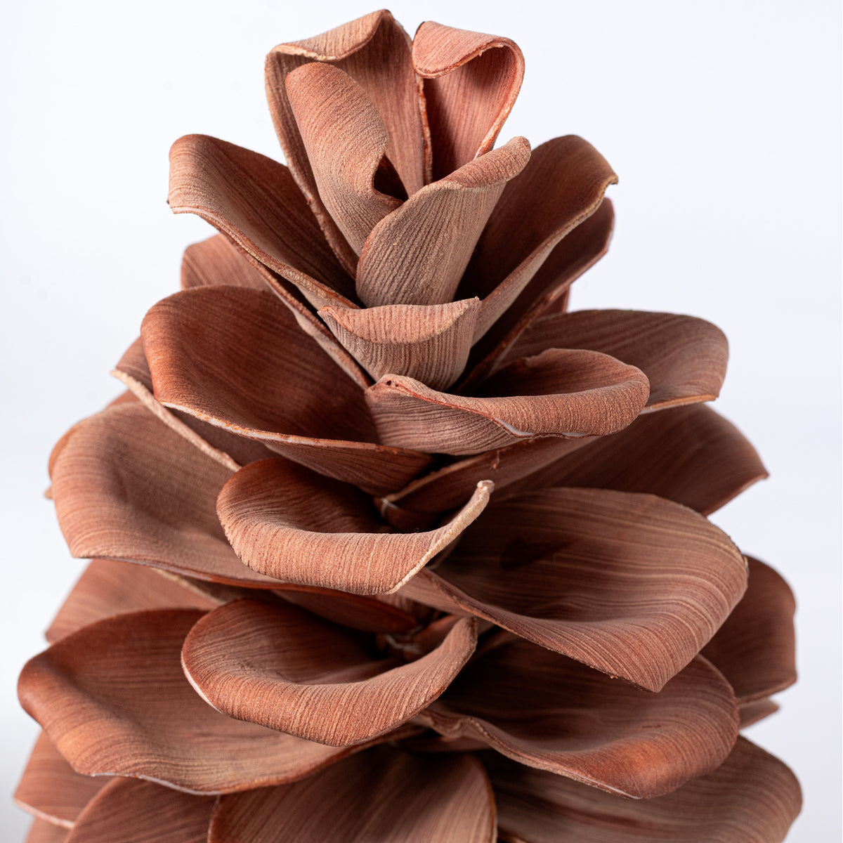 24" Jumbo Foam Pinecone Pick: Mocha Brown Lifestyle Photo