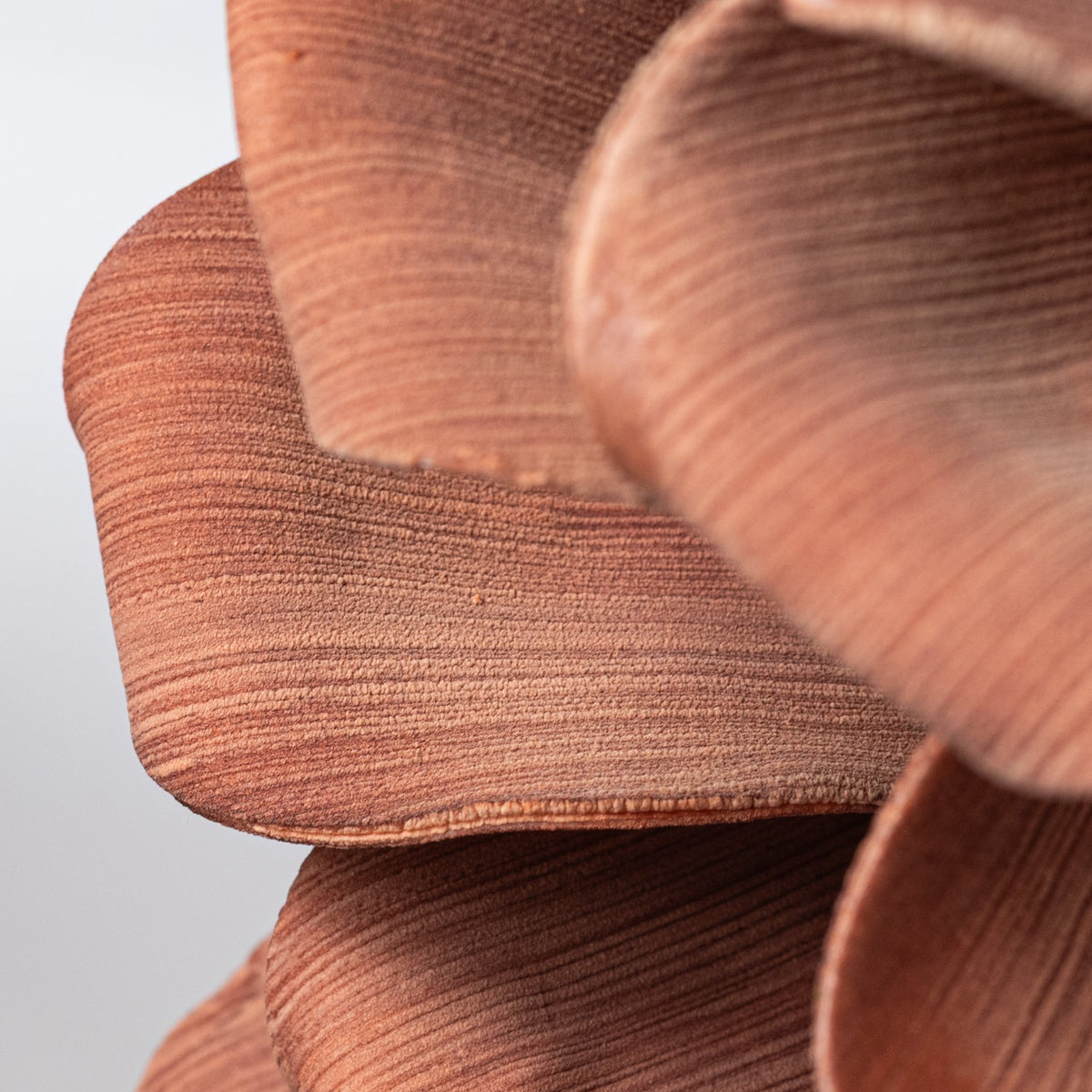 24" Jumbo Foam Pinecone Pick: Mocha Brown detail photo 5