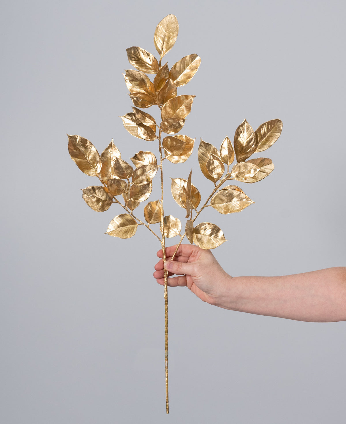 24" Metallic Lemon Leaf Salal Spray: Gold detail photo 3