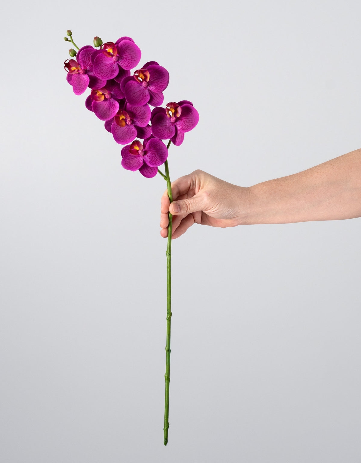 24" Real Touch Phalaenopsis Orchid Stem: Fuchsia detail photo 3