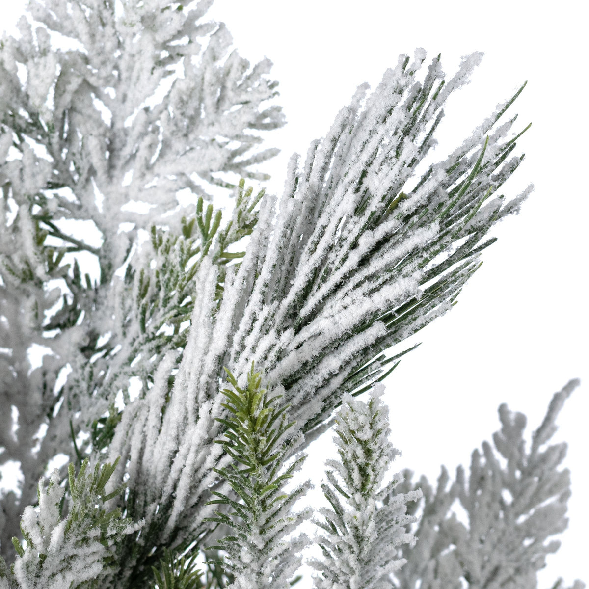 24" Swiss Pine Spray: Flocked Evergreen (9 Tips) detail photo 4