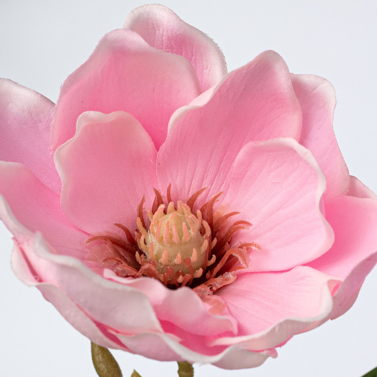 26" Magnolia Flower Stem: Pink Lifestyle Photo