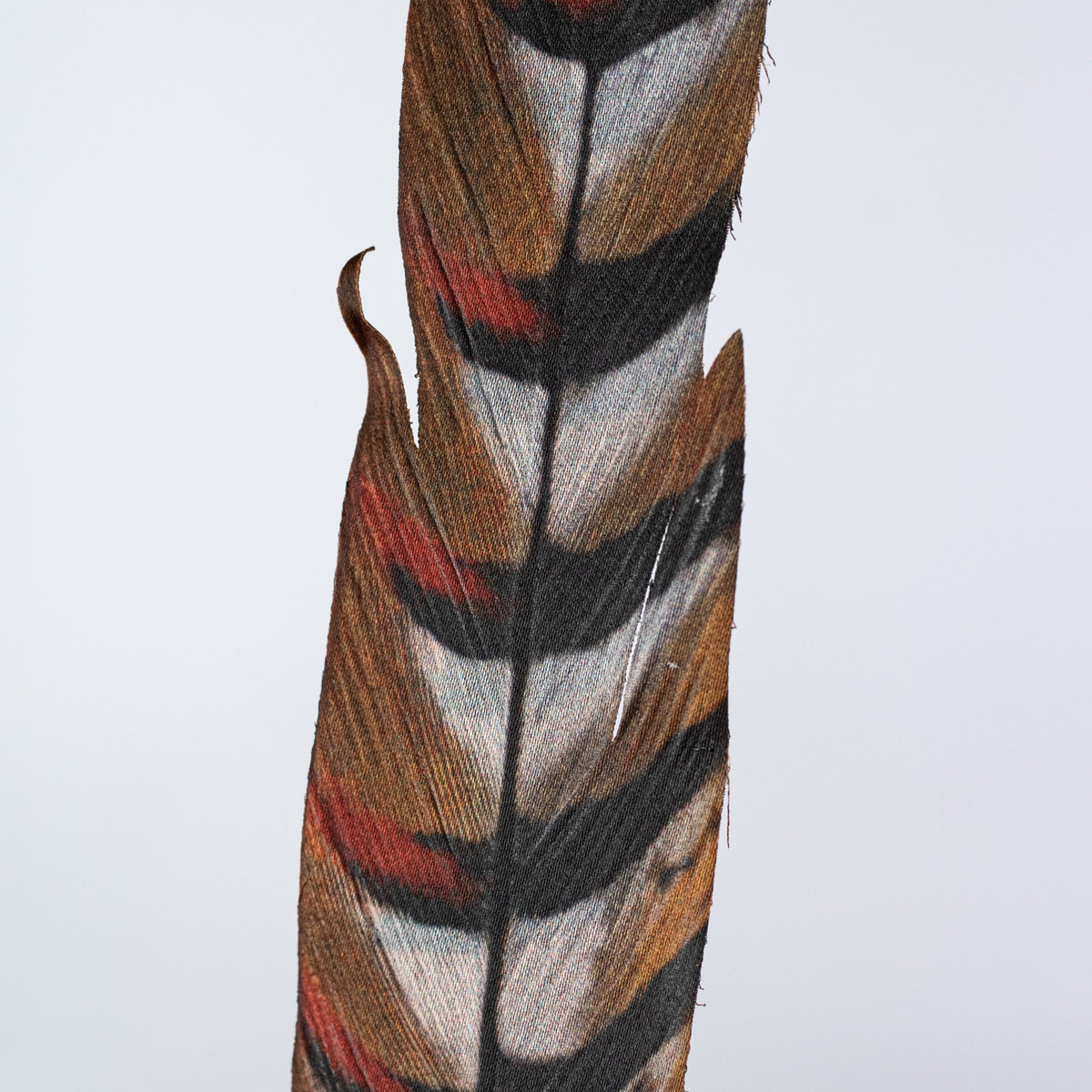 27" Faux Pheasant Feather Spray: Beige, Black & Orange Lifestyle Photo
