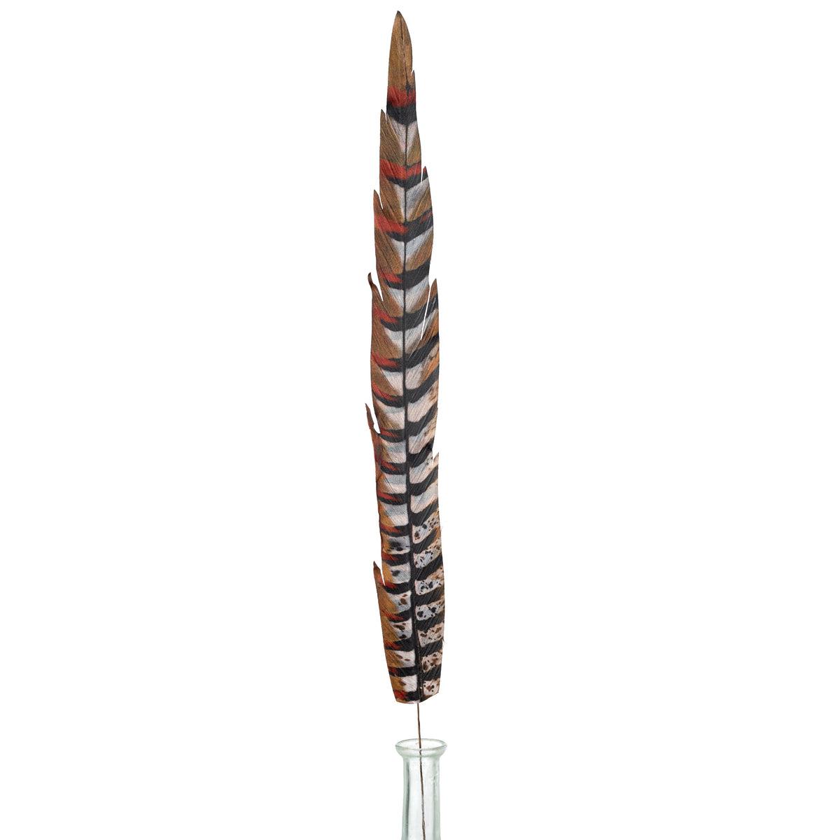 27" Faux Pheasant Feather Spray: Beige, Black & Orange Item Number: MJ0343F9