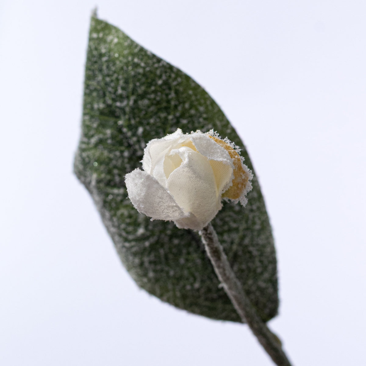 30" Frosted Magnolia Flower Spray: Snow White detail photo 4