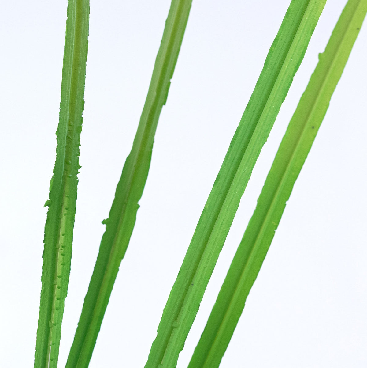 30" Plastic Sword Grass Bush: Bright Green Lifestyle Photo