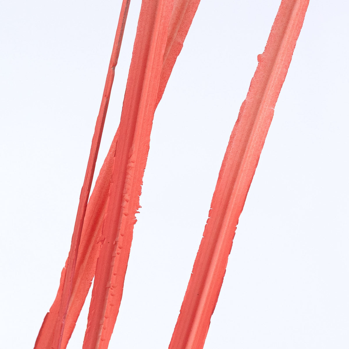30" Plastic Sword Grass Bush: Coral Lifestyle Photo