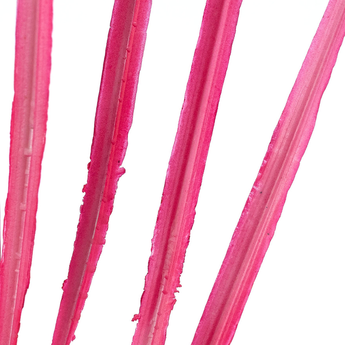 30" Plastic Sword Grass Bush: Hot Pink Lifestyle Photo