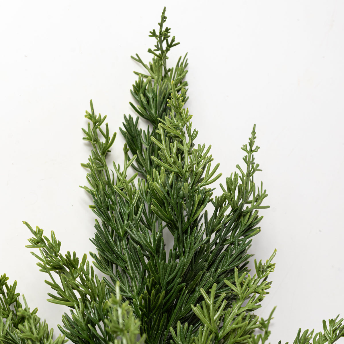 30" Soft Touch Cypress Spray: Evergreen Lifestyle Photo