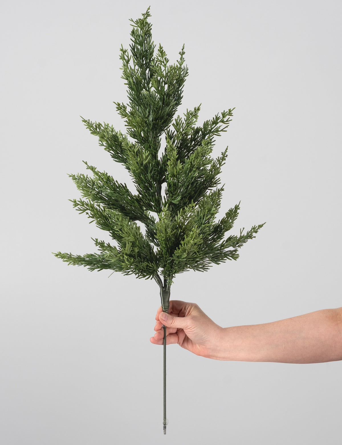 30" Soft Touch Cypress Spray: Evergreen detail photo 3