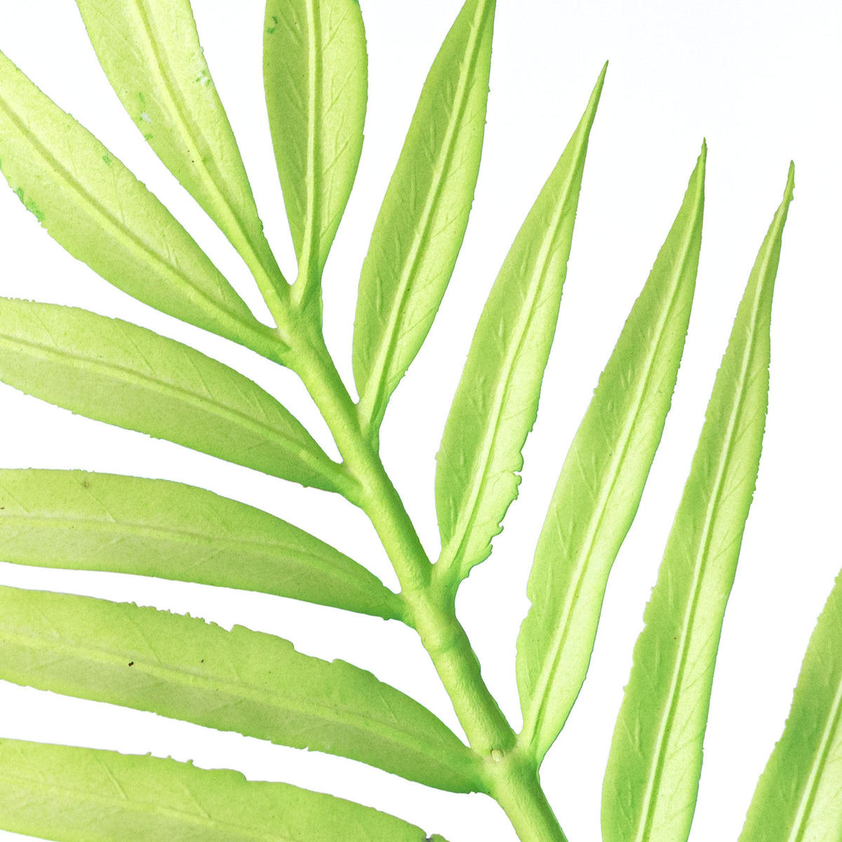 34" Plastic Palm Leaf Spray: Bright Green Lifestyle Photo