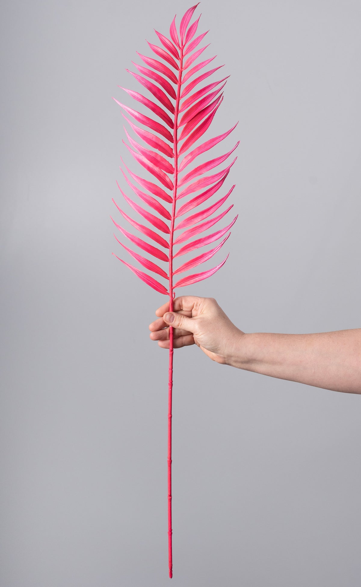 34" Plastic Palm Leaf Spray: Hot Pink detail photo 3