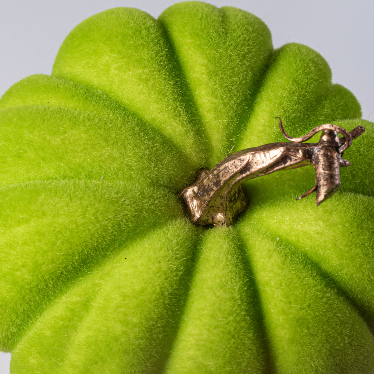 7" Flocked Pumpkin: Lime