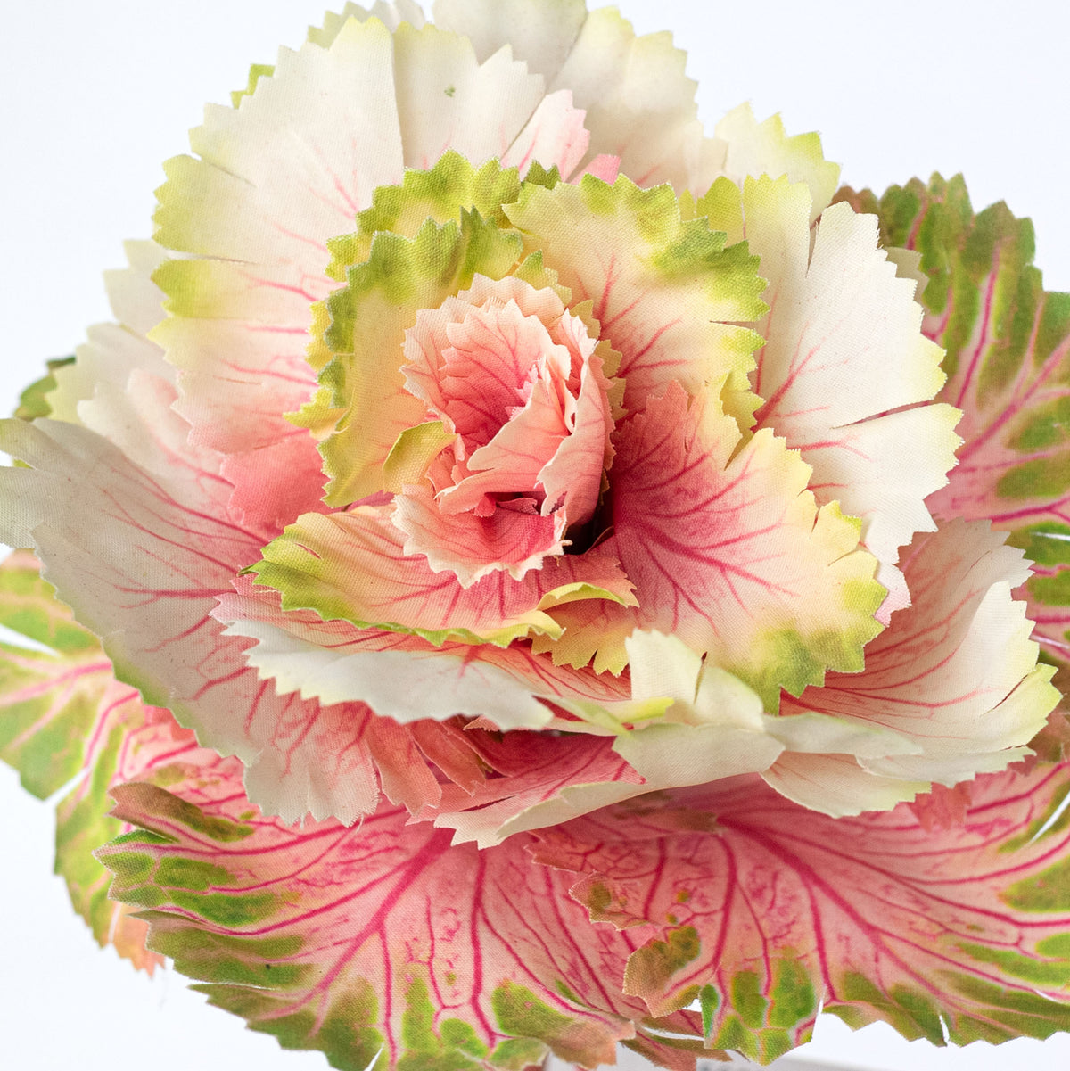 9" Artificial Cabbage Plant Pick: Variegated Pink Lifestyle Photo
