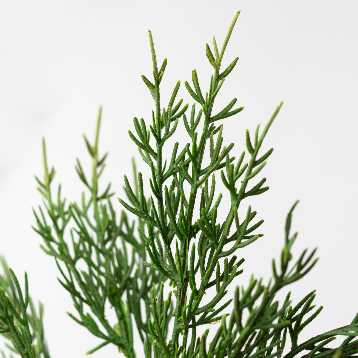 12" Artificial Cedar Pick: Two-Tone Green Lifestyle Photo