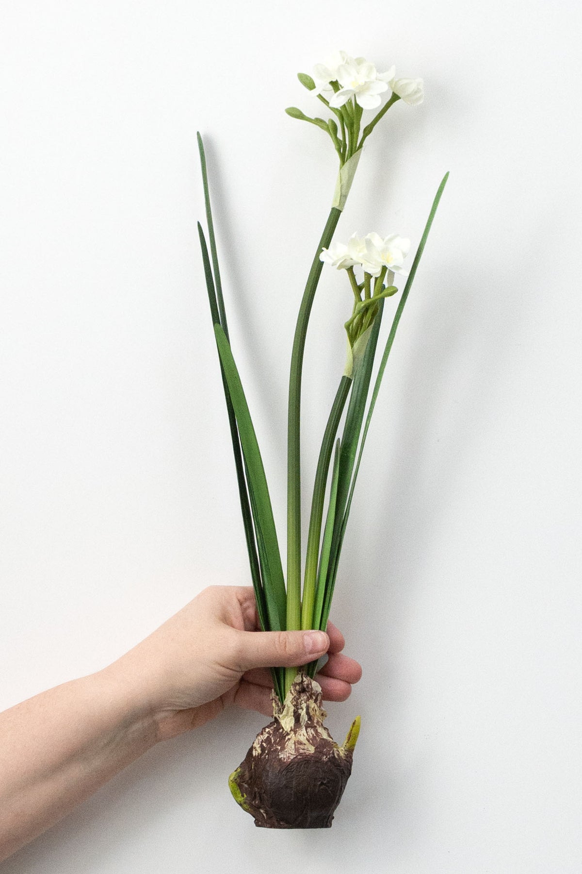 18" Artificial Paperwhite Narcissus Bulb detail photo 3