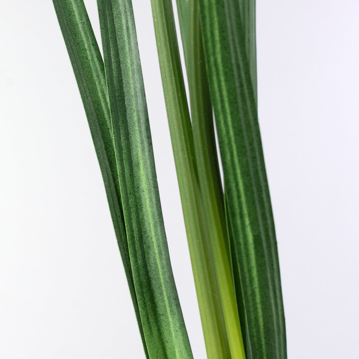 18" Artificial Paperwhite Narcissus Bulb detail photo 4