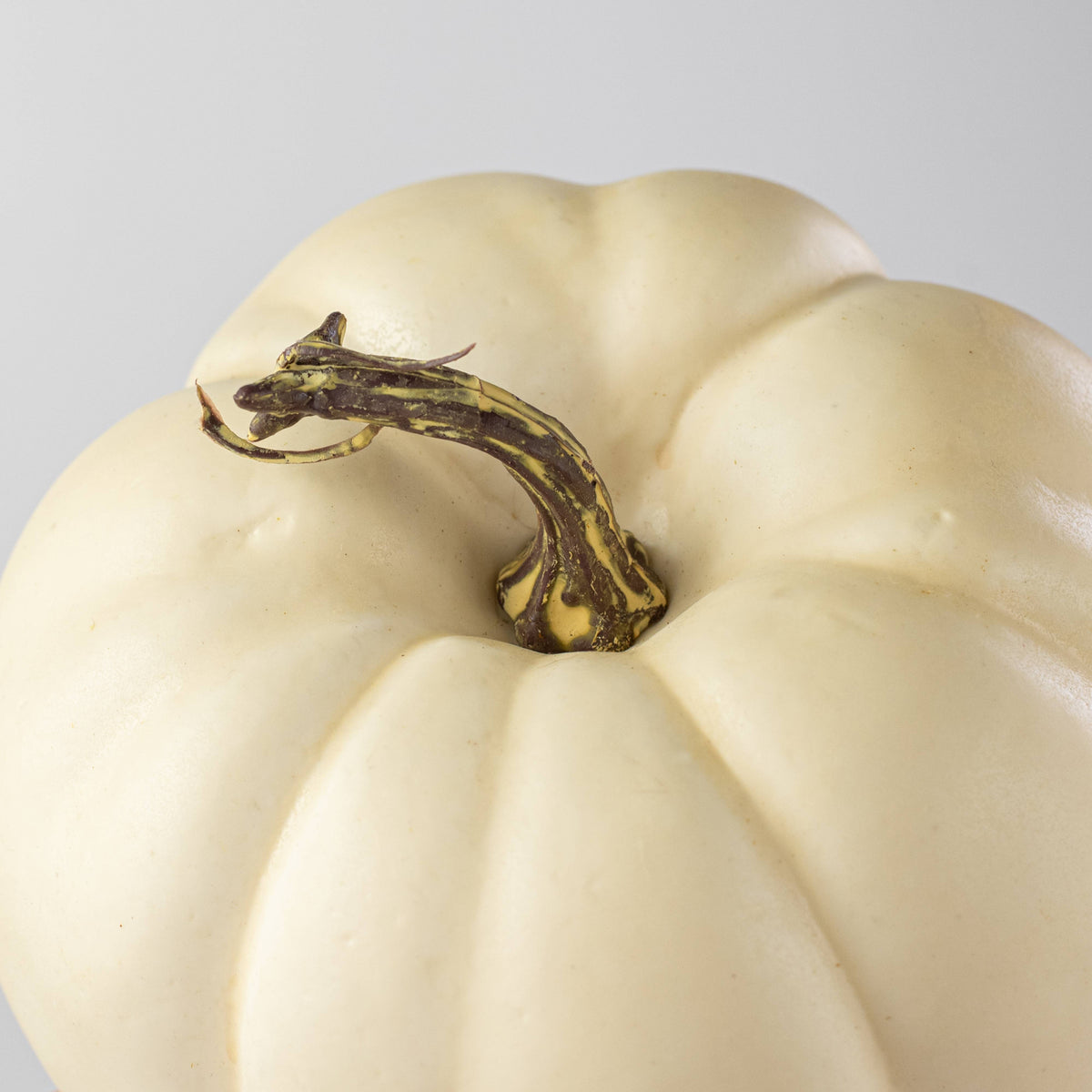 6" Artificial Pumpkins: Cream / White (Set of 2) detail photo 3