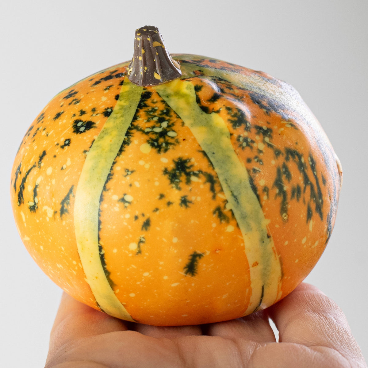 Assorted Artificial Pumpkins & Gourds: Orange & Yellow (Bag of 8) detail photo 5