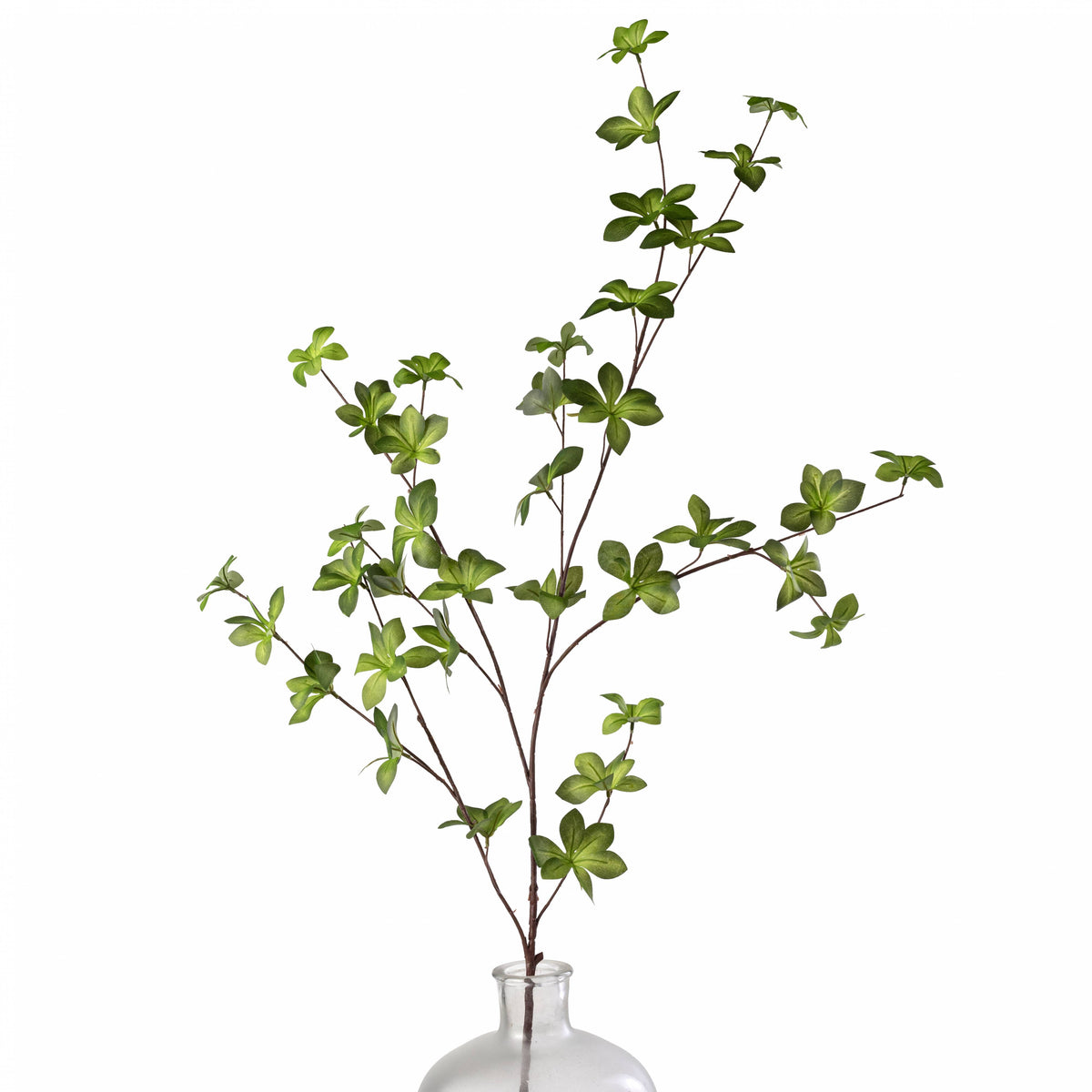 45" Star Ivy Branch: Two-Tone Green