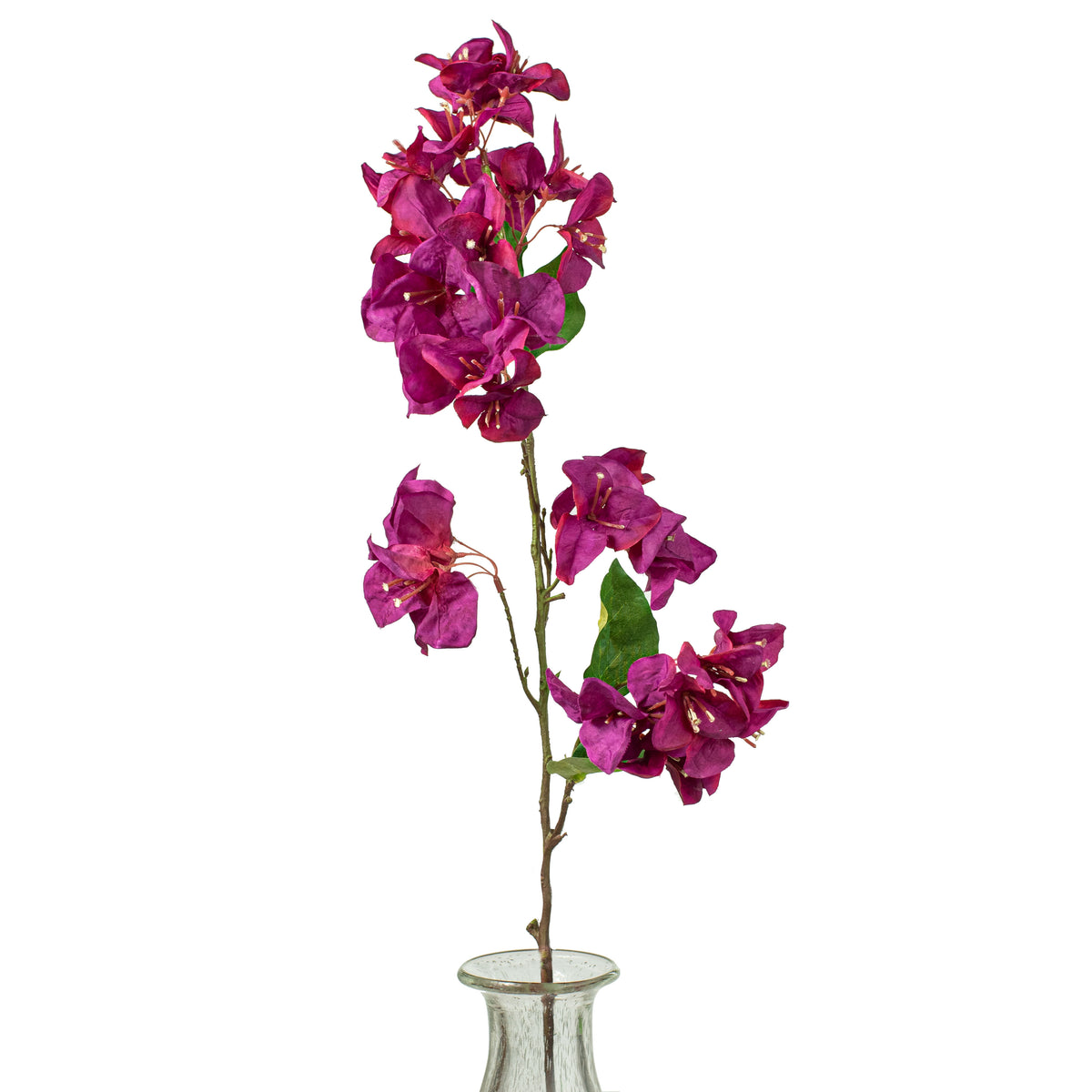 33" Bougainvillea Stem: Fuchsia Item Number: 287475