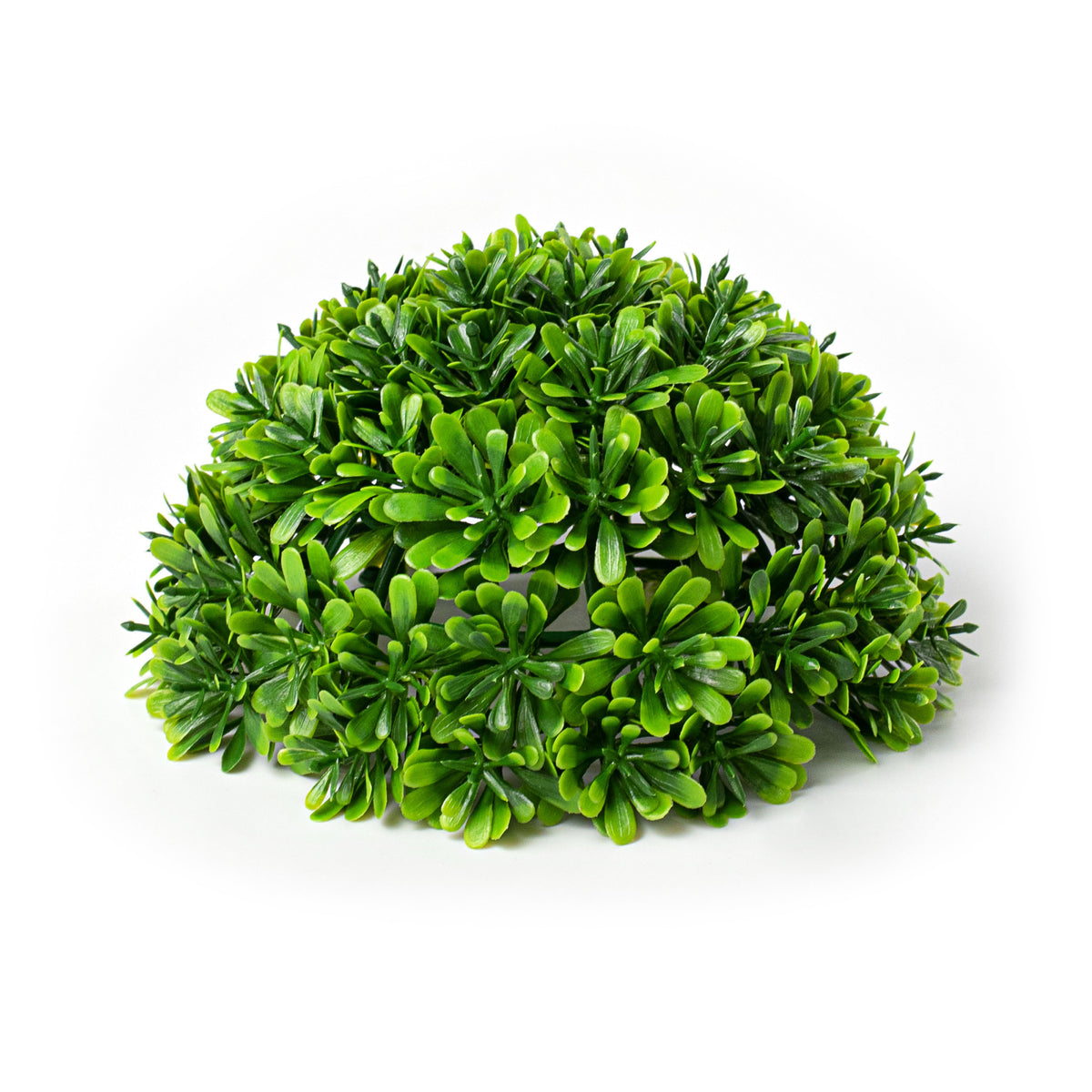 6" Boxwood Half Ball Item Number: 13509GN