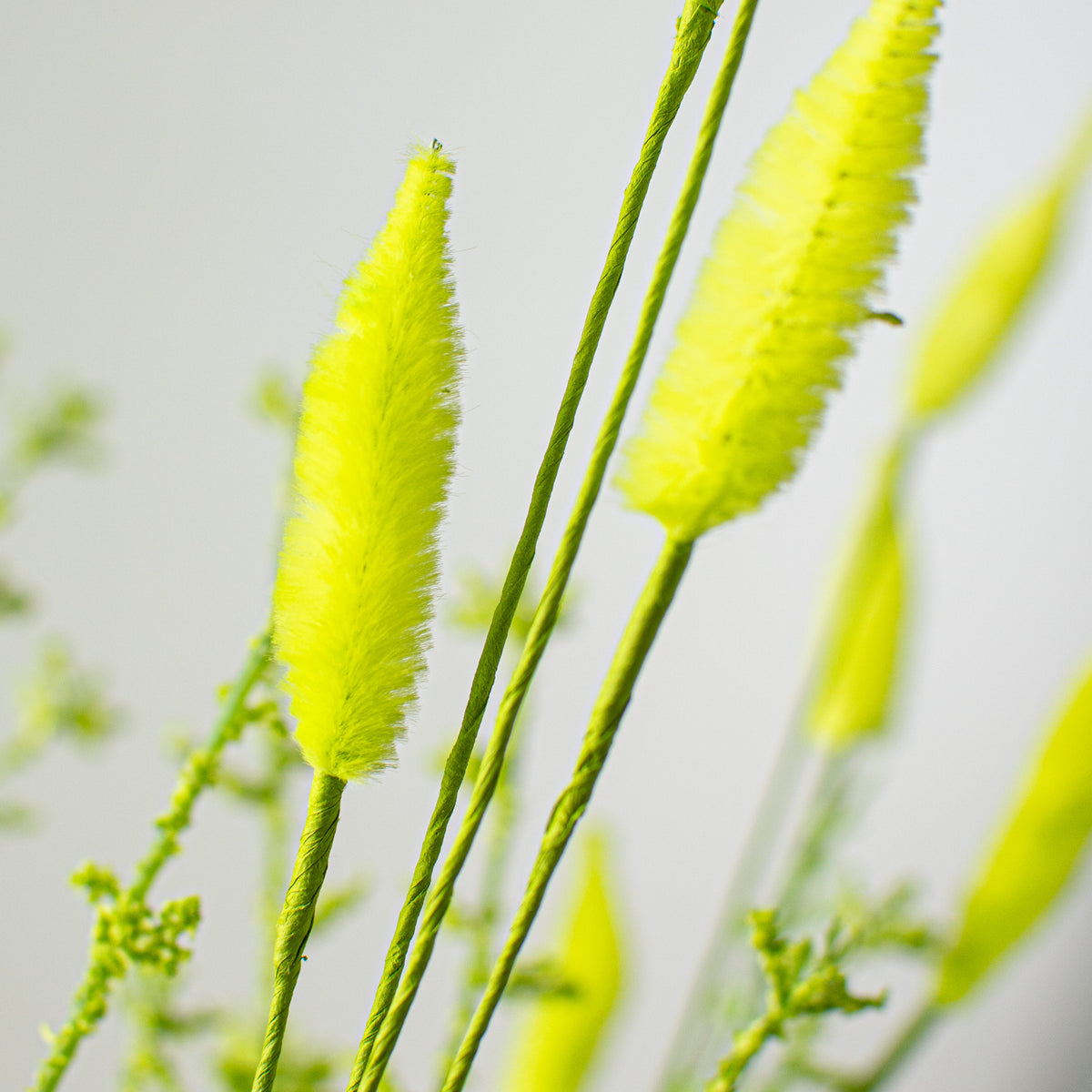 24" Bunny Tail & Leaves Bush: Green Lifestyle Photo