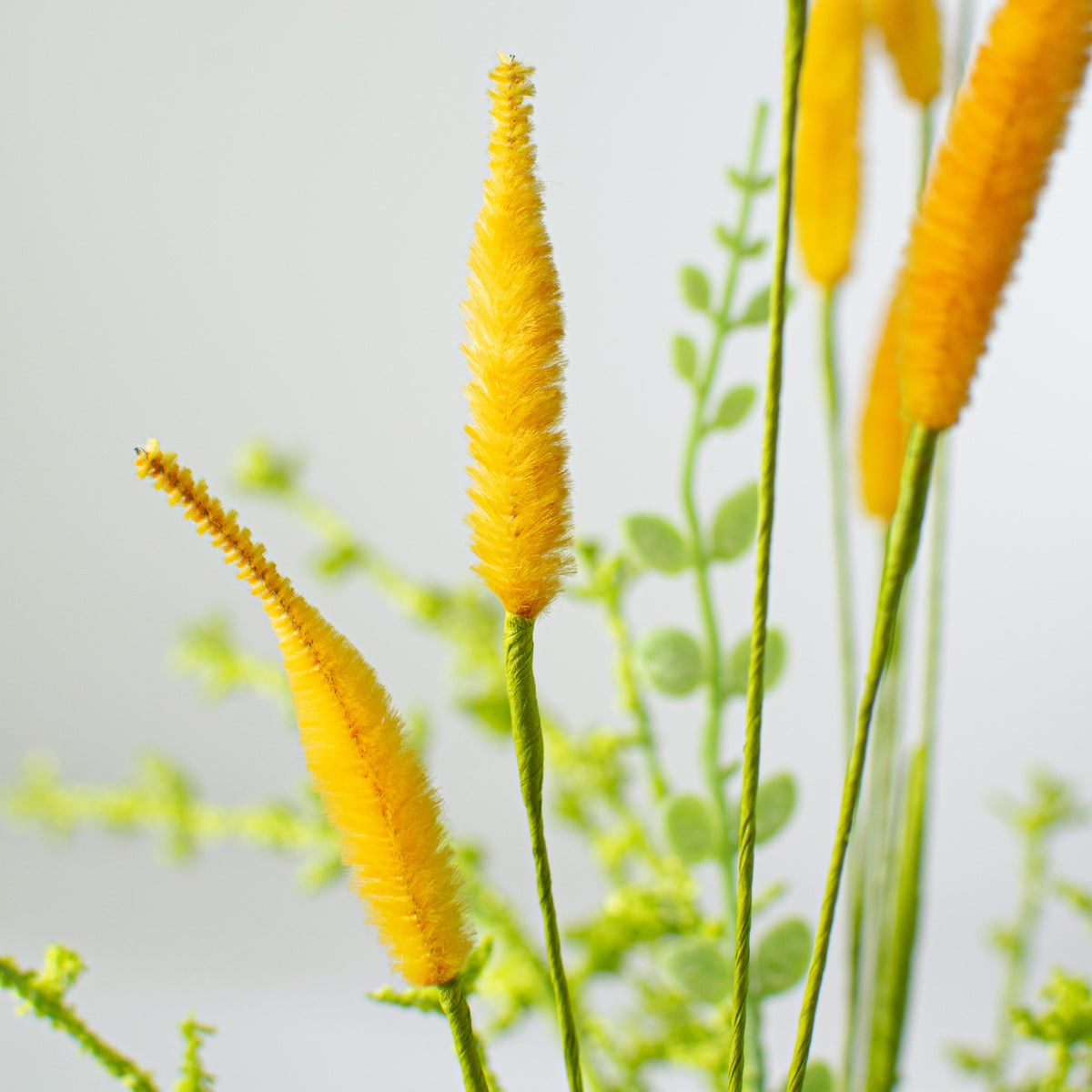 24" Bunny Tail & Leaves Bush: Orange Lifestyle Photo