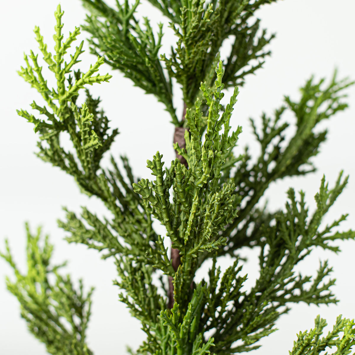 23" Cedar Pine Spray Lifestyle Photo