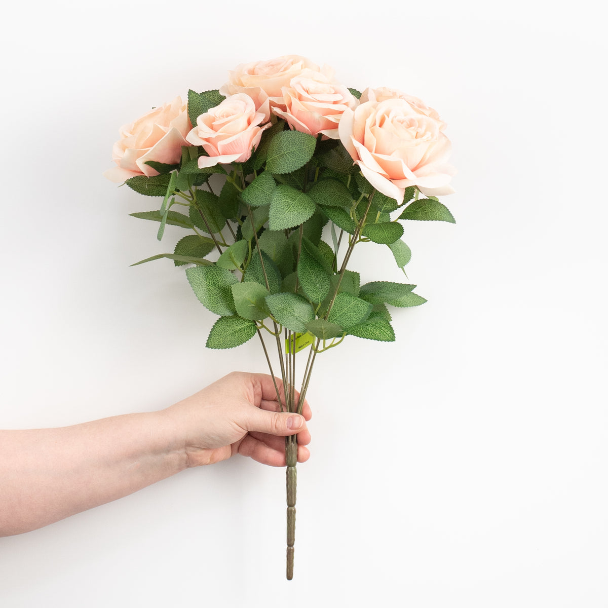 20" Celine Rose Bush: Blush Pink (9 Stem) detail photo 3