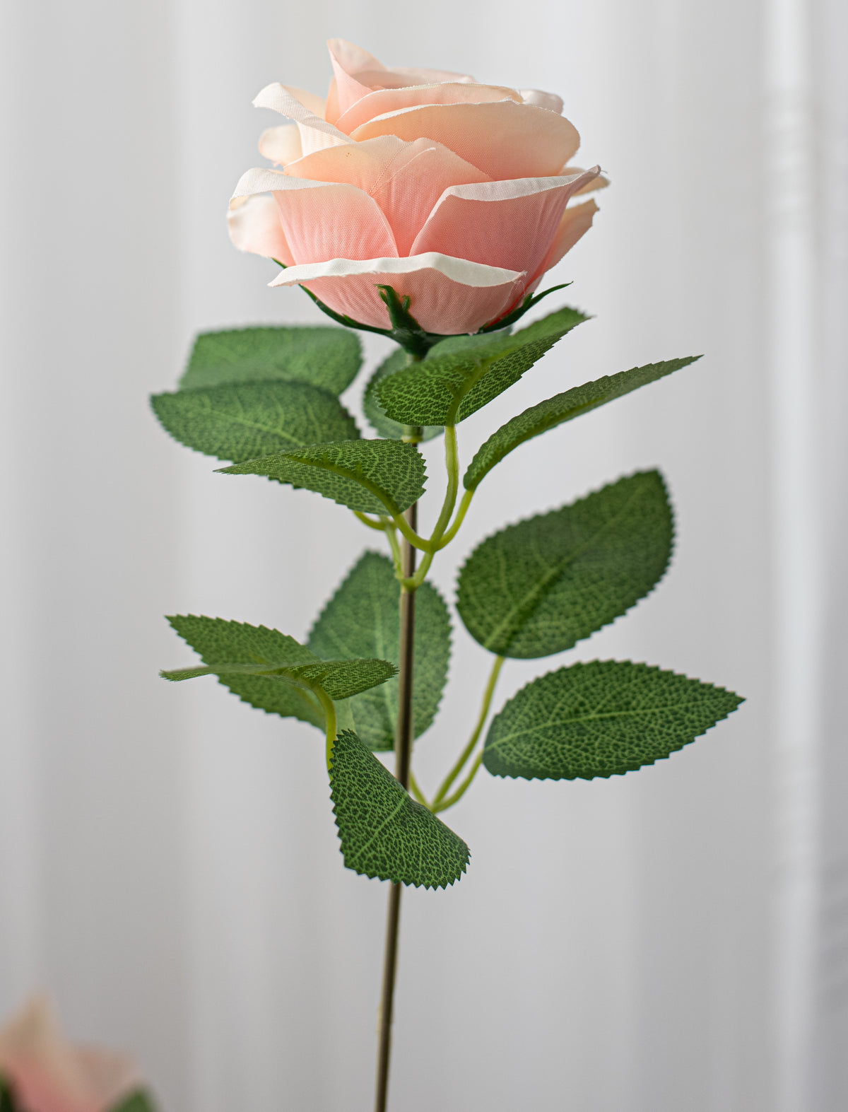20" Celine Rose Bush: Blush Pink (9 Stem) detail photo 4