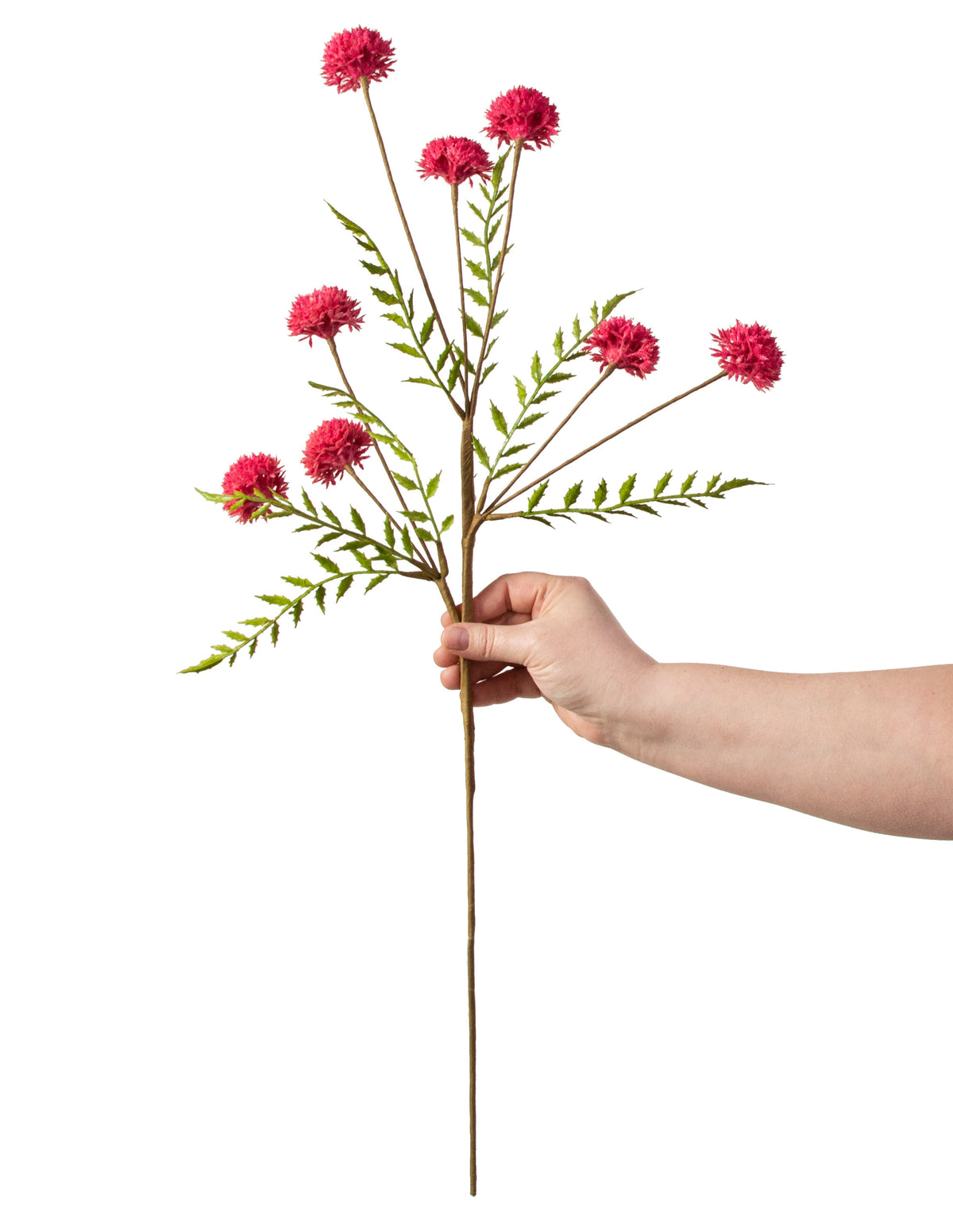 28" Clover Stem: Hot Pink detail photo 3