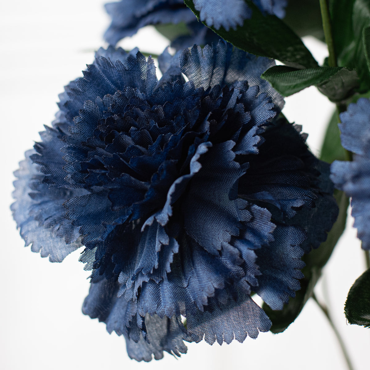 17" Colorfast Carnation Bush: Navy Blue (14) Lifestyle Photo