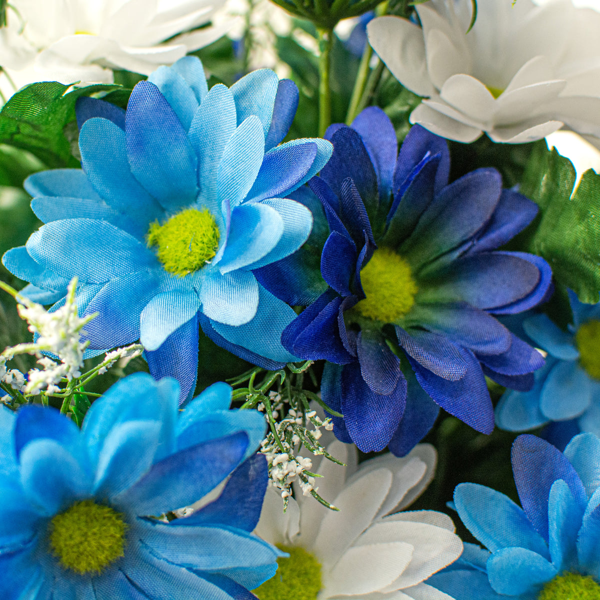 17" Colorfast Daisy Mix Bush: Blue & White Lifestyle Photo