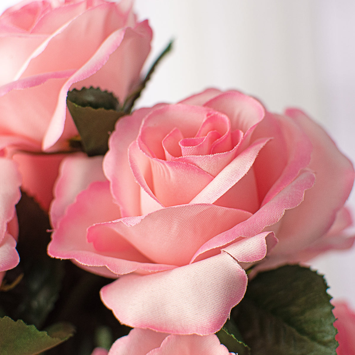 17" Colorfast Lillian Open Rose Bush: Baby Pink Lifestyle Photo