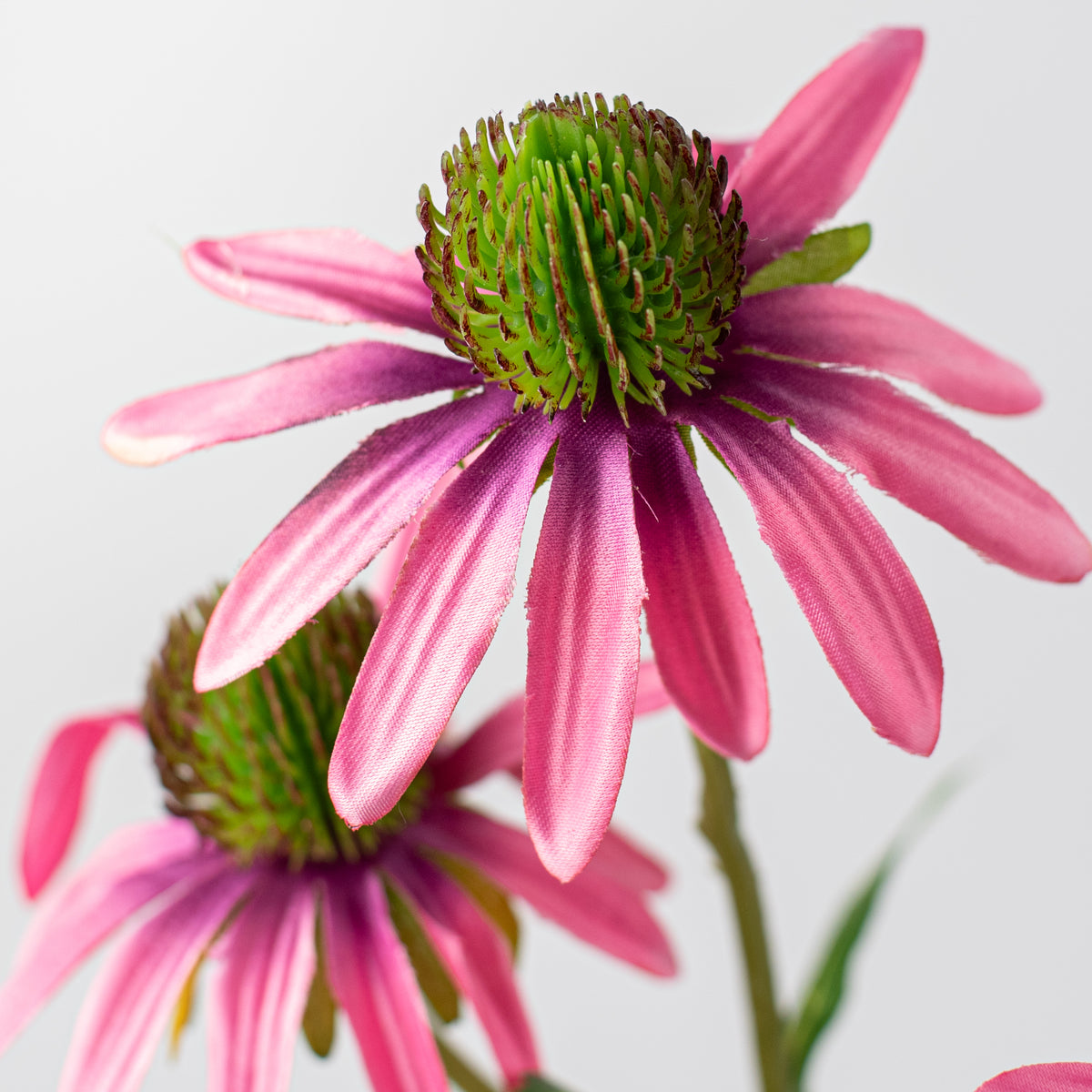 28" Coneflower Spray: Pink Lifestyle Photo
