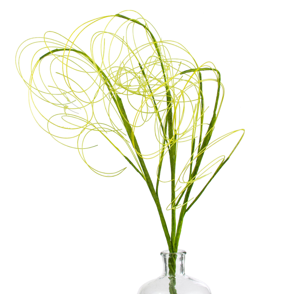 28" Curly Willow Twig: Green Item Number: 53952-GN